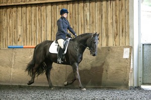 Isis Dressage Crown Farm Show 29th April 2012